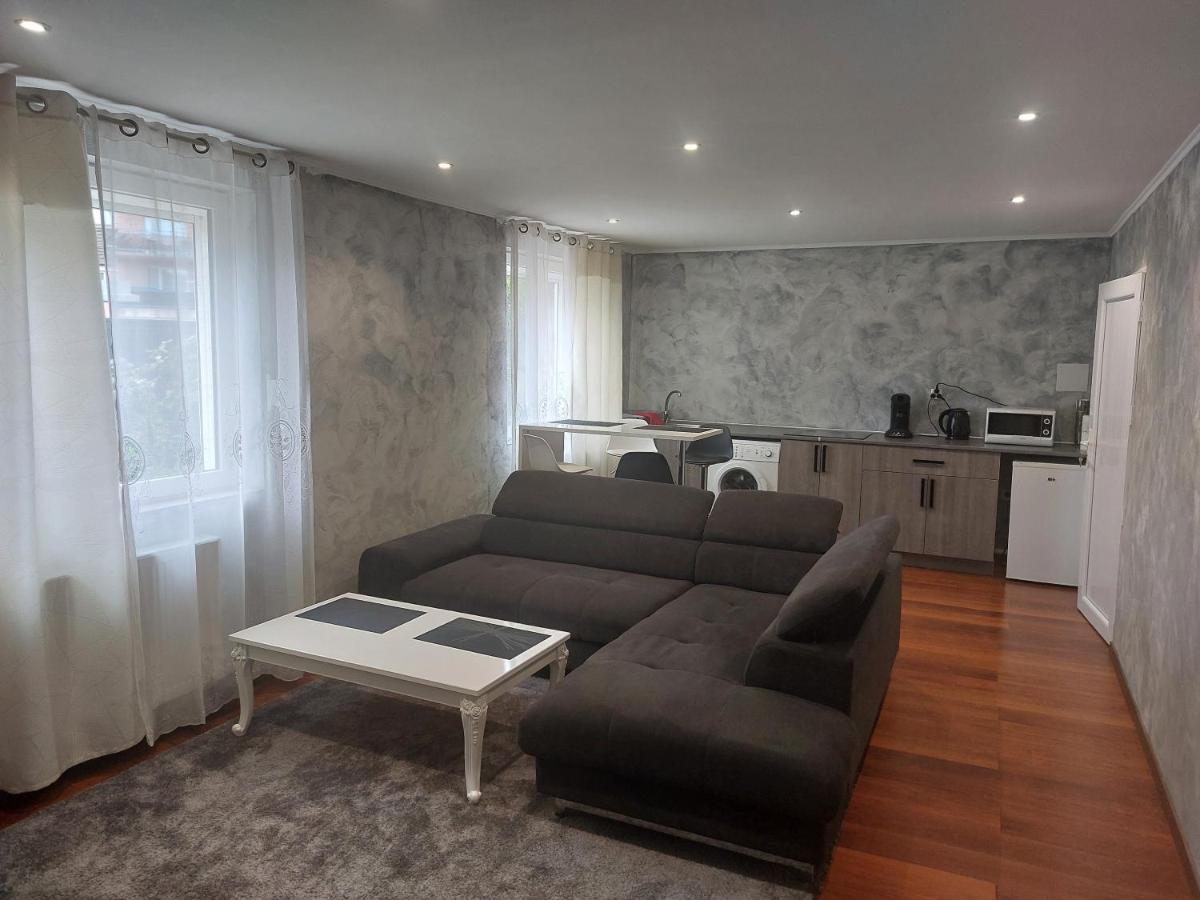 Famille House 101 Apartment Chalon-sur-Saone Bagian luar foto